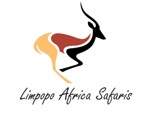 Limpopo Africa Safaris
